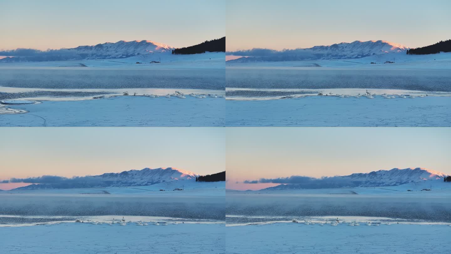 新疆博州赛里木湖冬季日落天鹅雪山航拍风景