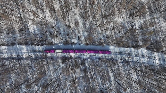 哈尔滨亚布力森林小火车