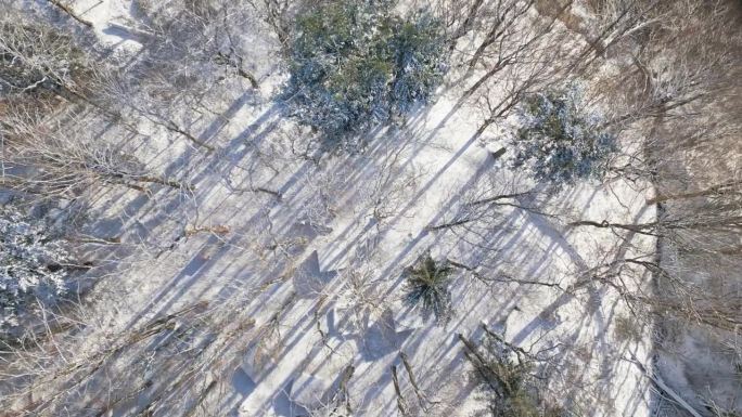 无人机在白雪覆盖的森林和小屋上空滑翔，在冬日的光辉中投下长长的影子。