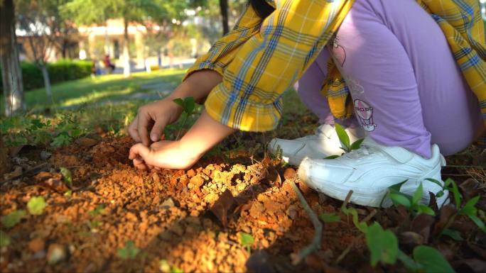 儿童小朋友植树种树 小女孩儿童玩泥巴