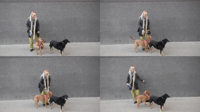 一位年轻的嬉皮动物爱好者无法用皮带拴住两只兴奋的领养狗。时髦的酷女人和她的两只获救的宠物站在街上。