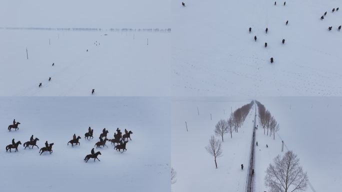 新疆伊犁牧民雪地叼羊活动航拍人文画面