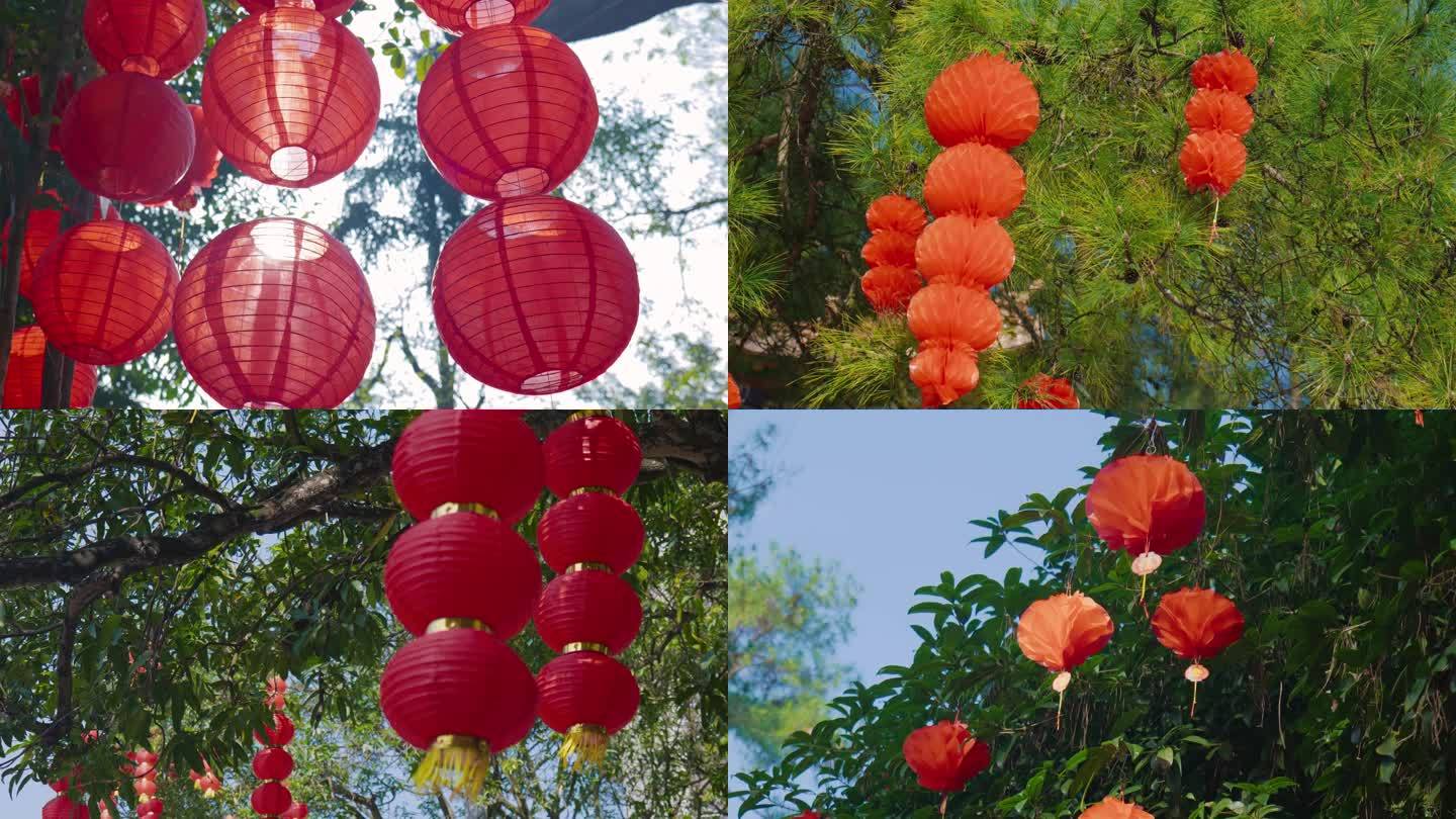 春节、灯笼、年味、挂树上的灯笼