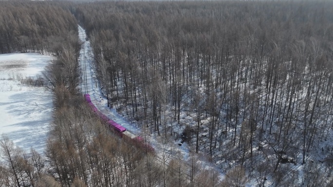 哈尔滨亚布力森林小火车