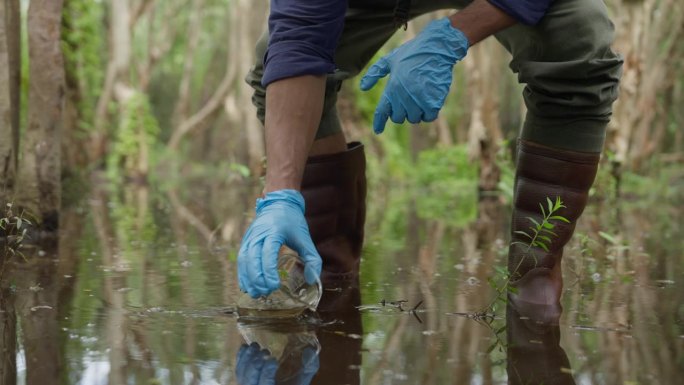 一位年轻的生物学家在泥炭地收集水样，以检查污染物并测量矿物质的丰富程度。