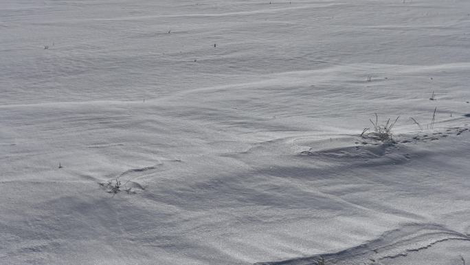 雪地