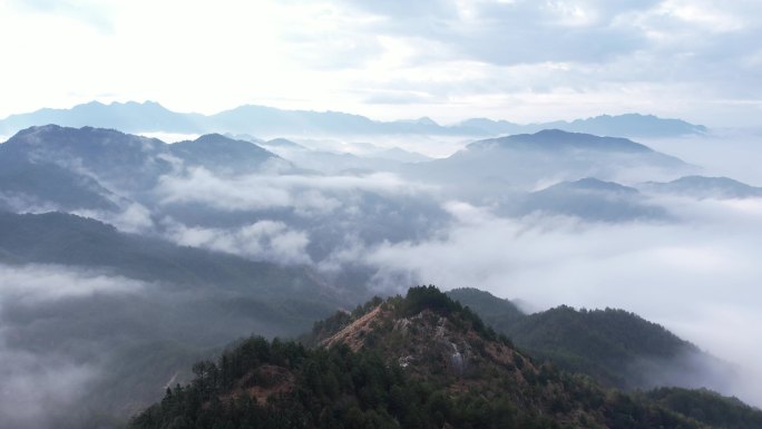 山川云海 森林云海 树林云海