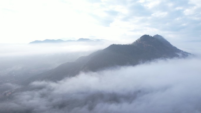 山川云海 森林云海 树林云海