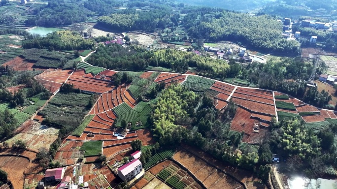 浙江山区乡村冬季风光