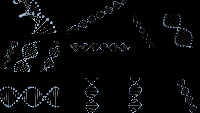 DNA动画视频素材包
