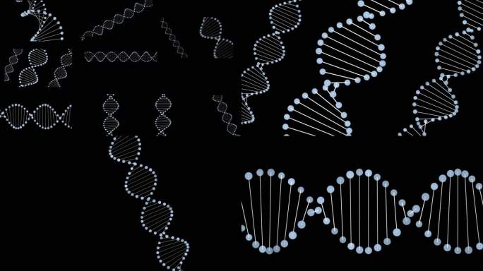 DNA动画视频素材包