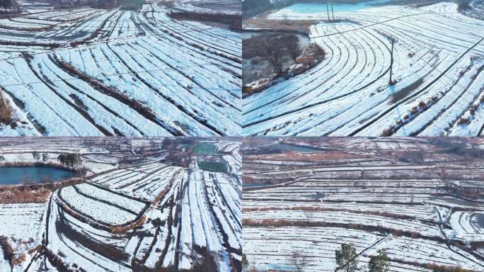 4K航拍农村田地大雪兆丰年