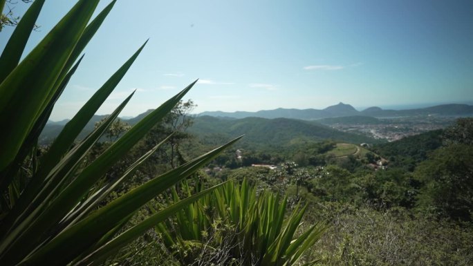 从Parque da Cidade保护区俯瞰Niterói海洋地区的全景，周围是大西洋森林生物群落的