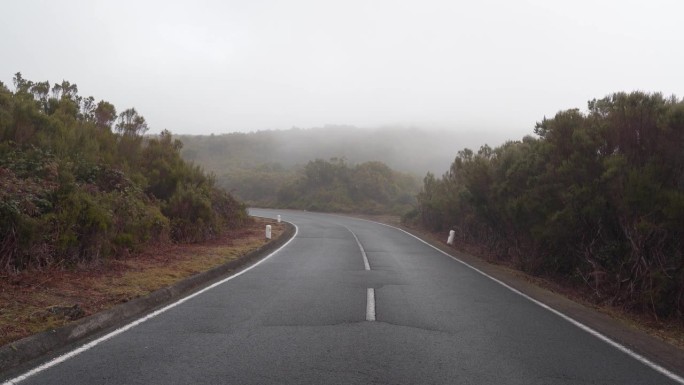 冬天马德拉岛山区的道路，雾覆盖了一段道路。道路四周环绕着月桂林。稳定的摄像机