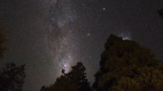 星星从新西兰金斯敦湖的一些树上升起