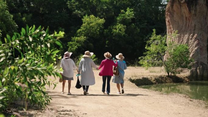 一群老年好友在退休后一起旅行，漫步森林，呼吸自然空气，手牵手漫步欣赏美丽的大自然，置身于美丽的小山谷