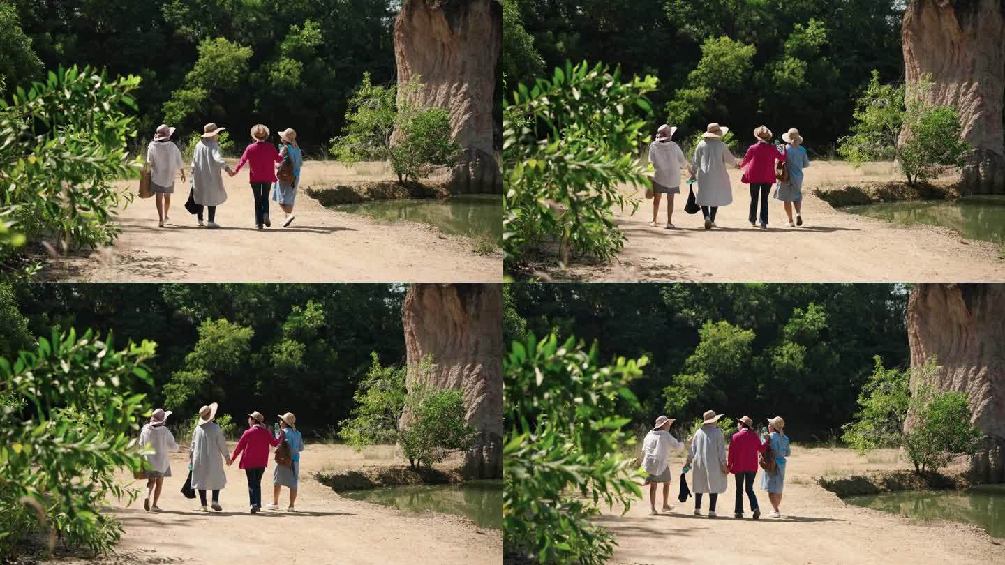 一群老年好友在退休后一起旅行，漫步森林，呼吸自然空气，手牵手漫步欣赏美丽的大自然，置身于美丽的小山谷