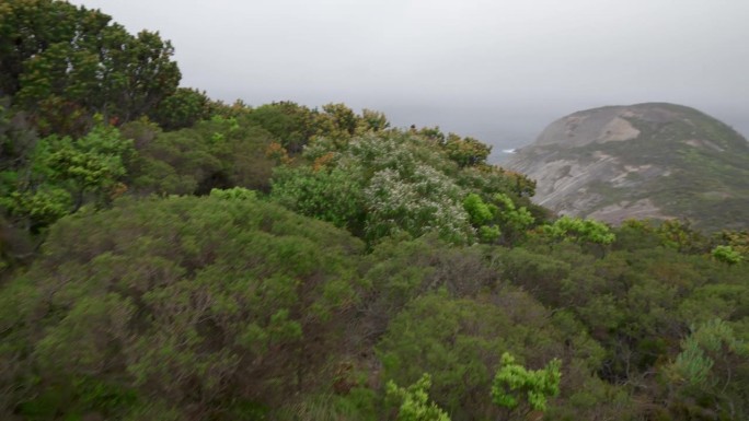 在西澳大利亚的奥尔巴尼，从沿海的灌木丛和野花中显露出半岛的尽头，延伸到南大洋。