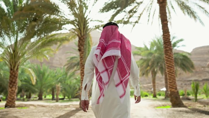 摄像机跟随一名沙特男子穿过Al-Ula的椰枣树林