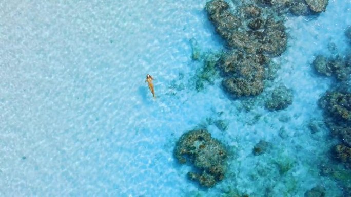 从空中俯瞰，美丽的女人在透明的蓝色海洋中游泳。