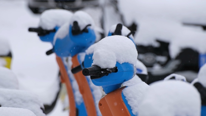 冬季冬天下雪雪中植被树木电动车积雪雪景