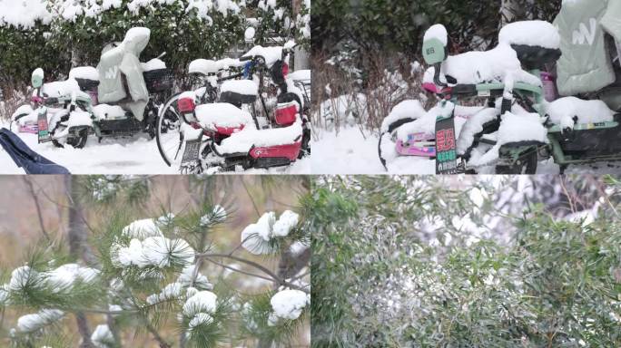冬季冬天下雪雪中植被树木电动车积雪雪景
