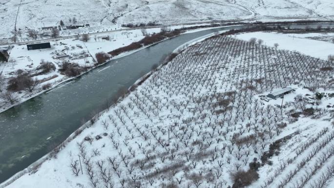 无人机拍摄的白雪覆盖的苹果园。