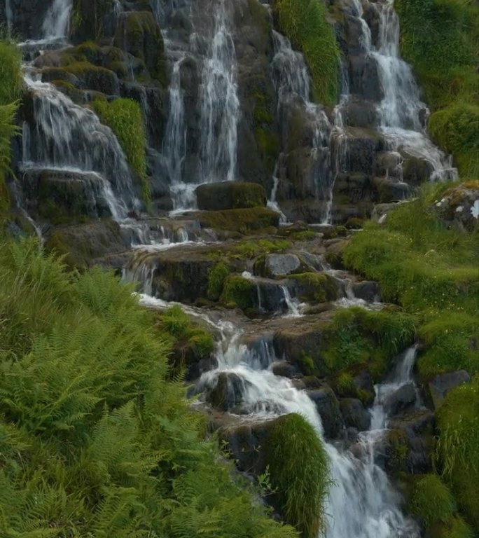 垂直:绿色的蕨类植物和草环绕着从花岗岩上倾泻而下的瀑布
