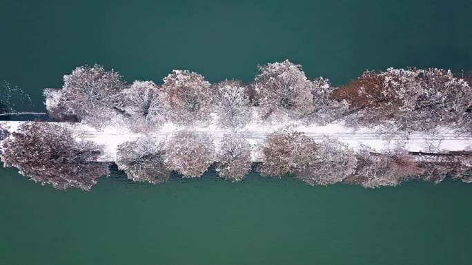 武汉东湖冬天唯美风景古建筑暴雪冬季