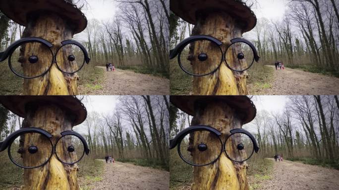 戴着眼镜的人脸雕刻在大自然的一棵树上