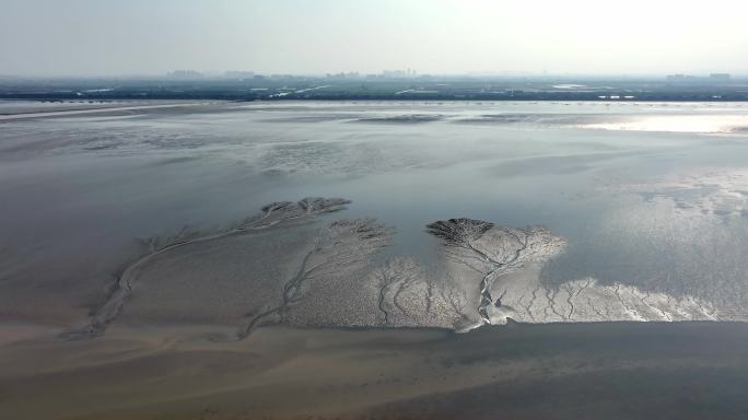 钱塘江大潮观潮潮汐树震撼的大地之树