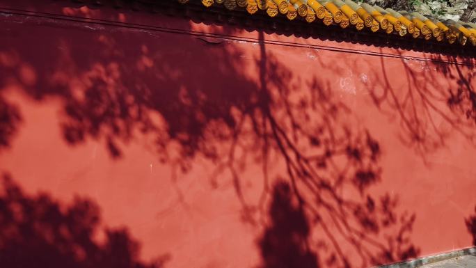 夔州古城红墙绿树倒影随风摆动