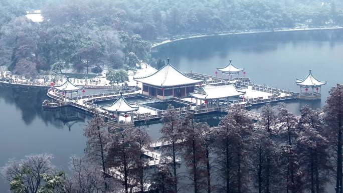 武汉东湖碧潭观鱼景区冬天唯美风景