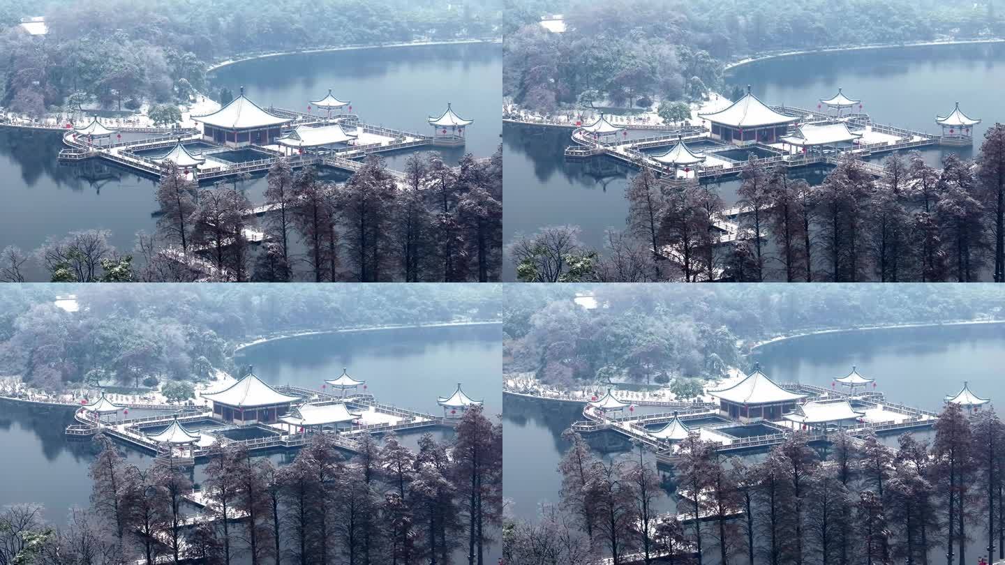 武汉东湖碧潭观鱼景区冬天唯美风景