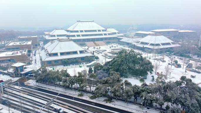 武汉省博物馆唯美风景古建筑暴雪冬季