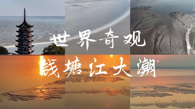 【原创16镜】钱塘江大潮潮汐树震撼唯美