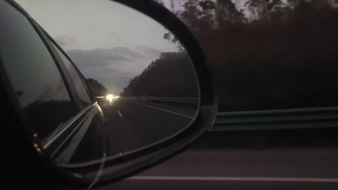 司机 握方向盘 驾驶汽车 路边的树