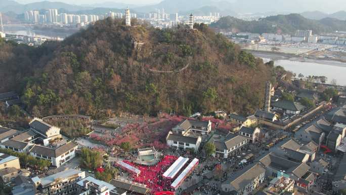 台州临海紫阳街梅园DJI_0358