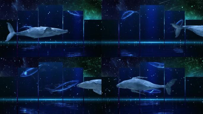深海蓝鲸视频背景