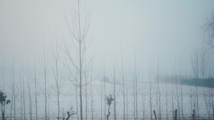 火车行驶在白雪皑皑的旷野