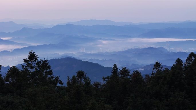 山川秀美 原始森林