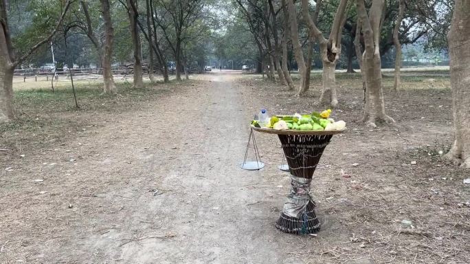 在阴天的印度加尔各答，在空旷的森林里，一辆水果推车的侧面视图。