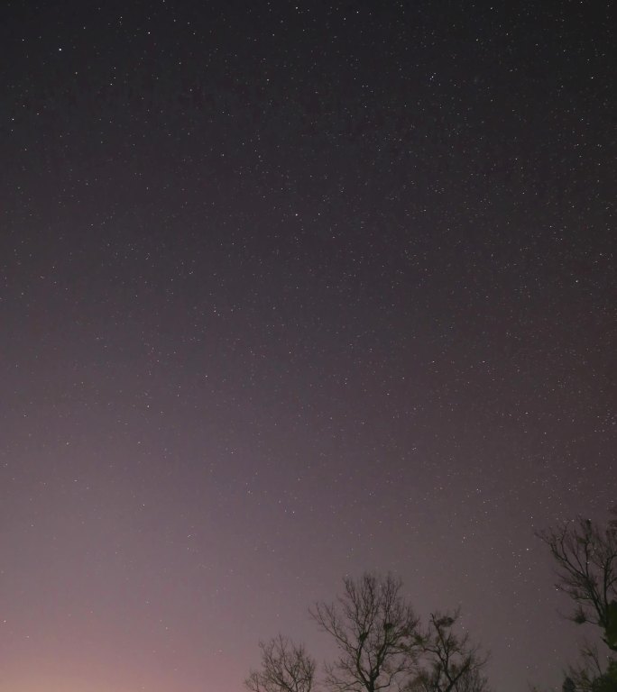 晚上 星空 流星 树梢，星星 繁星