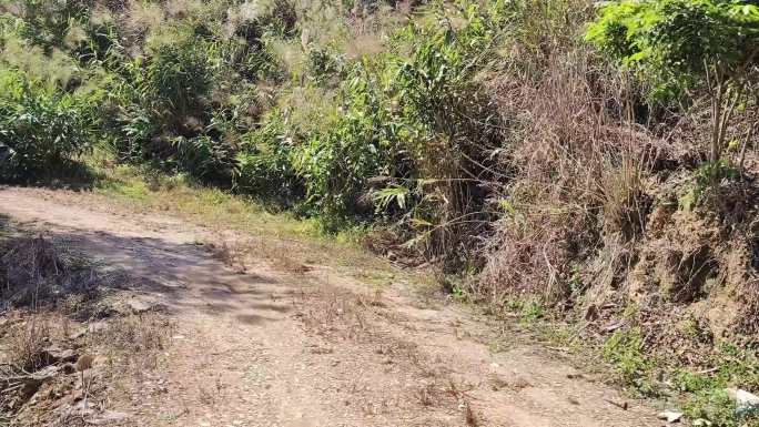 山路 崎岖的道路 泥泞的路 荒凉小山路