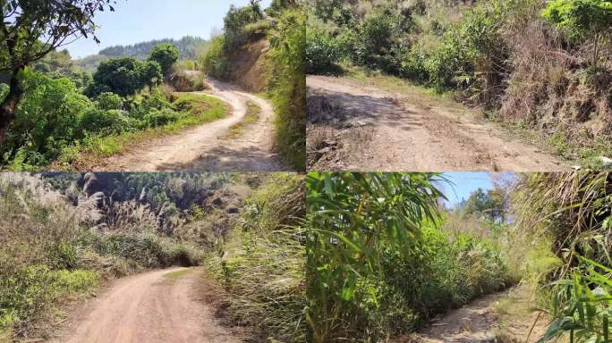 山路 崎岖的道路 泥泞的路 荒凉小山路