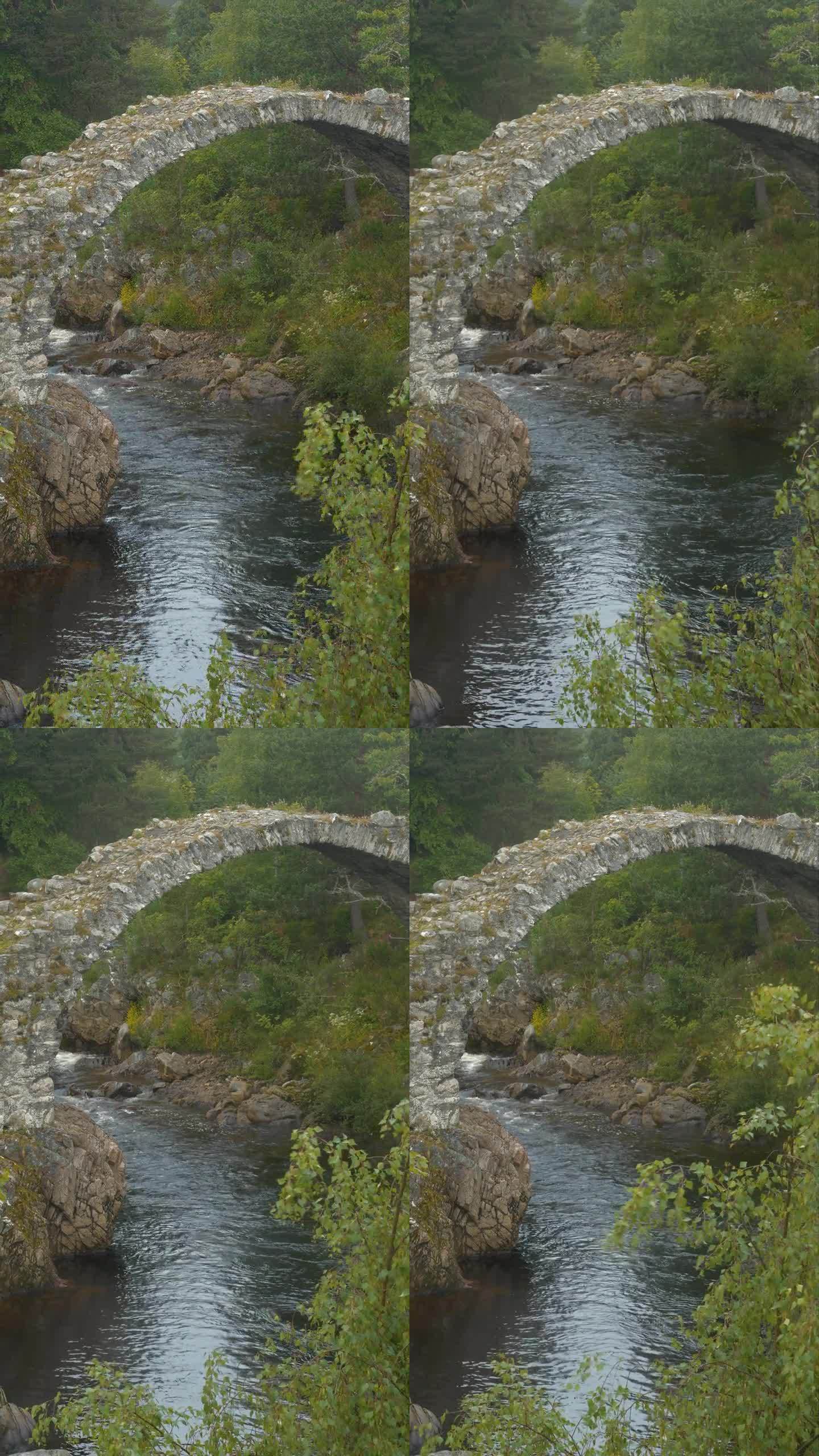 垂直:古老的拱形棺材桥，连接着多尔纳因河的岩石河岸