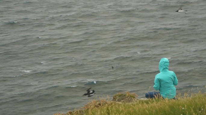 一位女摄影师试图拍摄在无情的风中飞翔的海雀