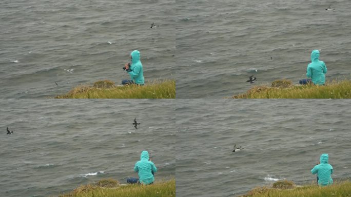一位女摄影师试图拍摄在无情的风中飞翔的海雀