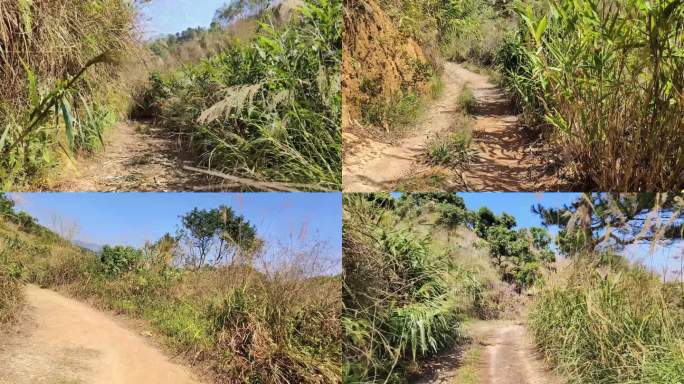 崎岖的道路 泥泞的路 荒凉小山路乡村小路