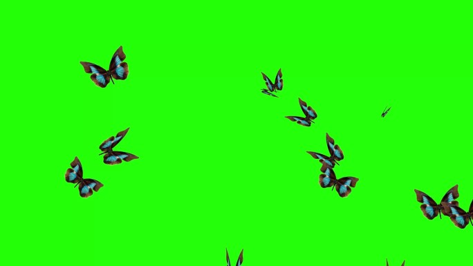 一群蝴蝶在绿色的屏幕上飞舞，环境自然的动画元素